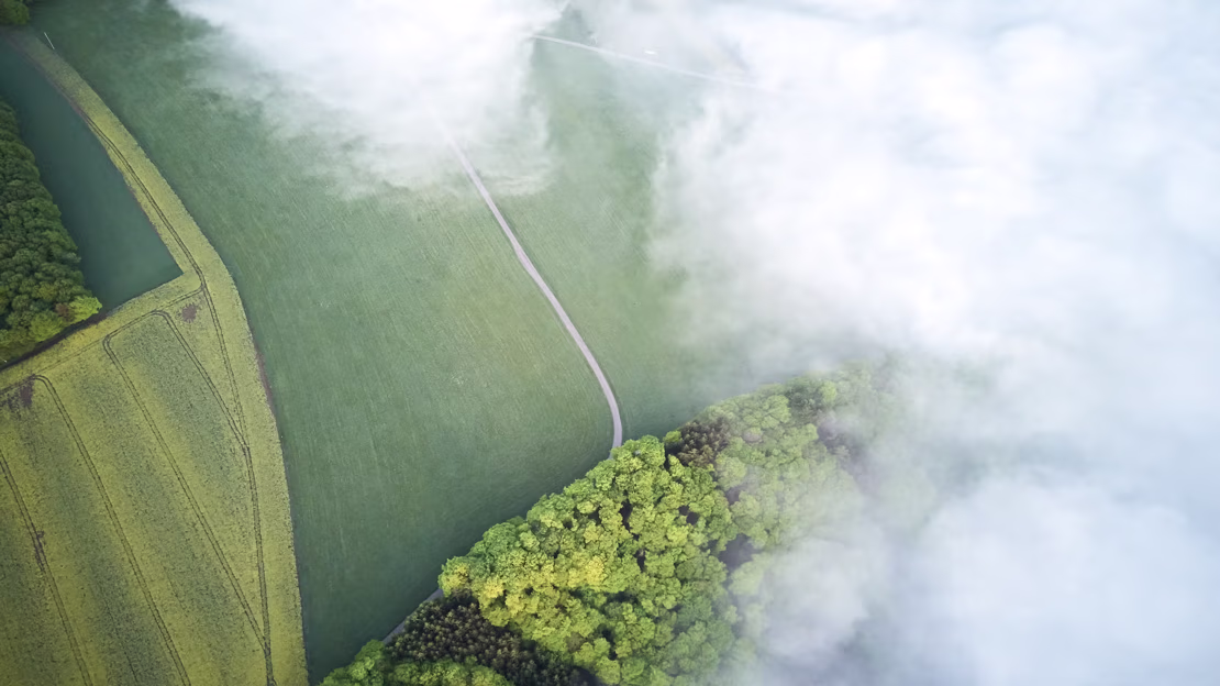 Lettre Intrum France - 31 mars