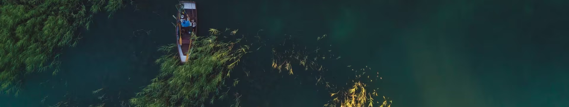 Le développement durable est au cœur de nos activités
