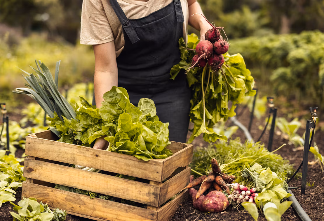 Zéro déchet – une nouvelle philosophie de vie ?