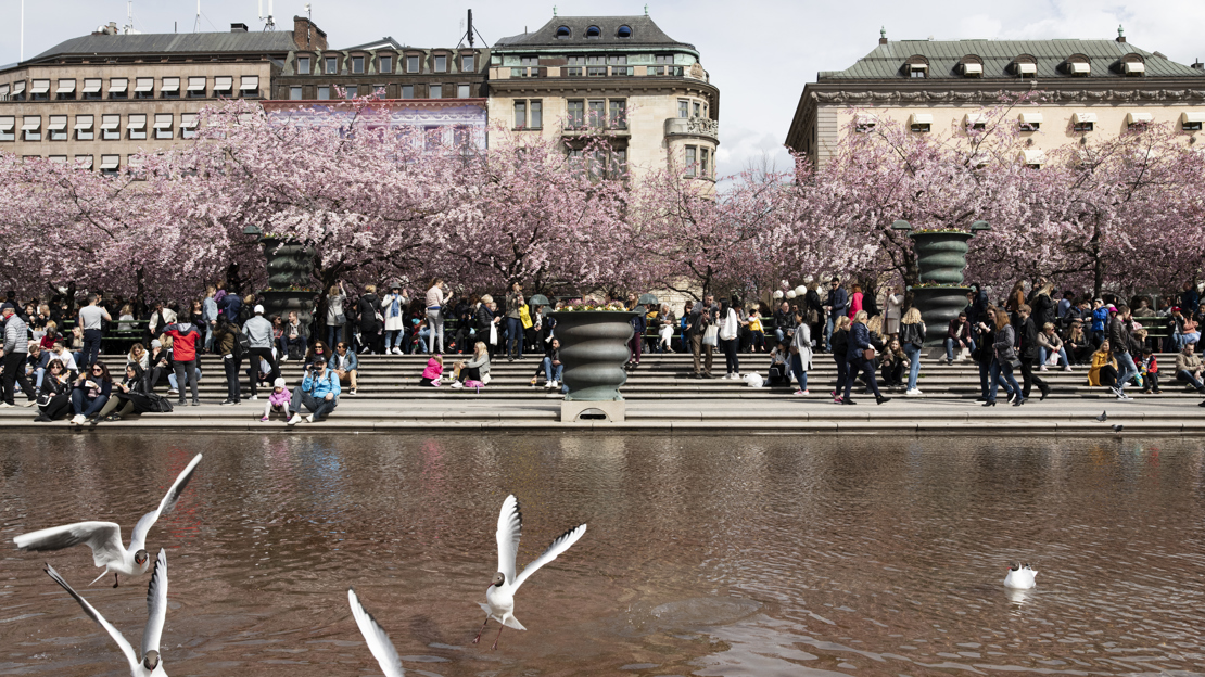 Lettre Intrum France - 14 avril
