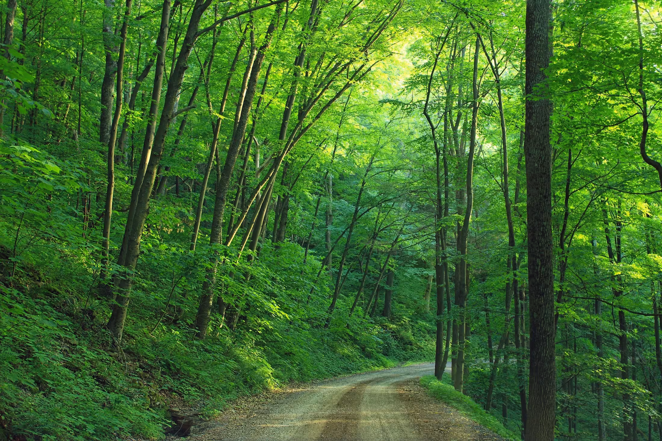 Intrum Environments 050 RF