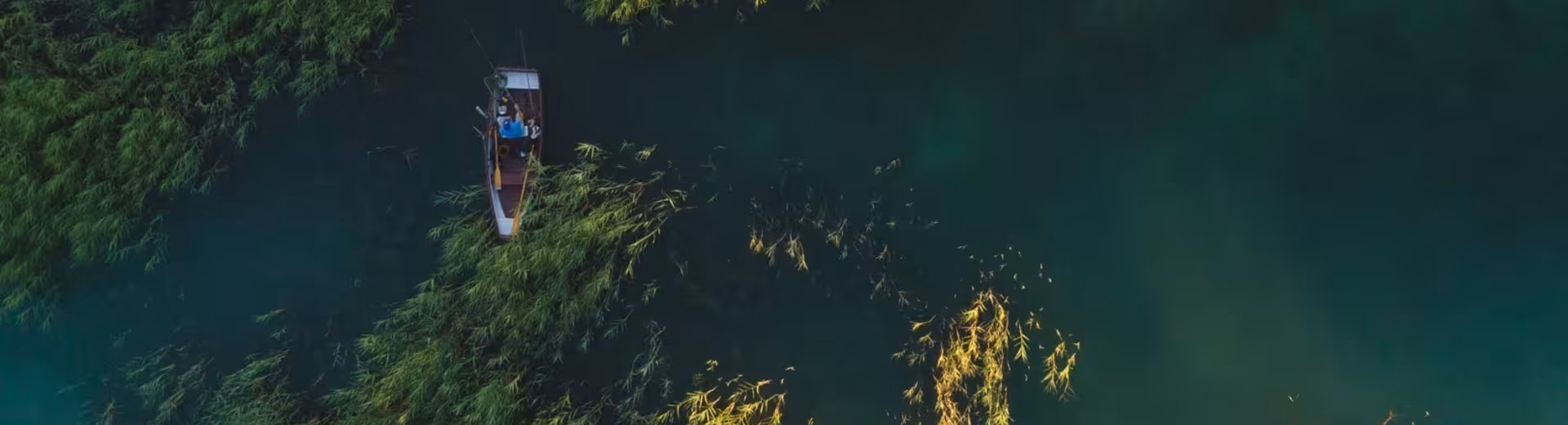  Résultat de la traduction  Sélectionnez la langue cible Français  automatique  Le développement durable au cœur de nos activités