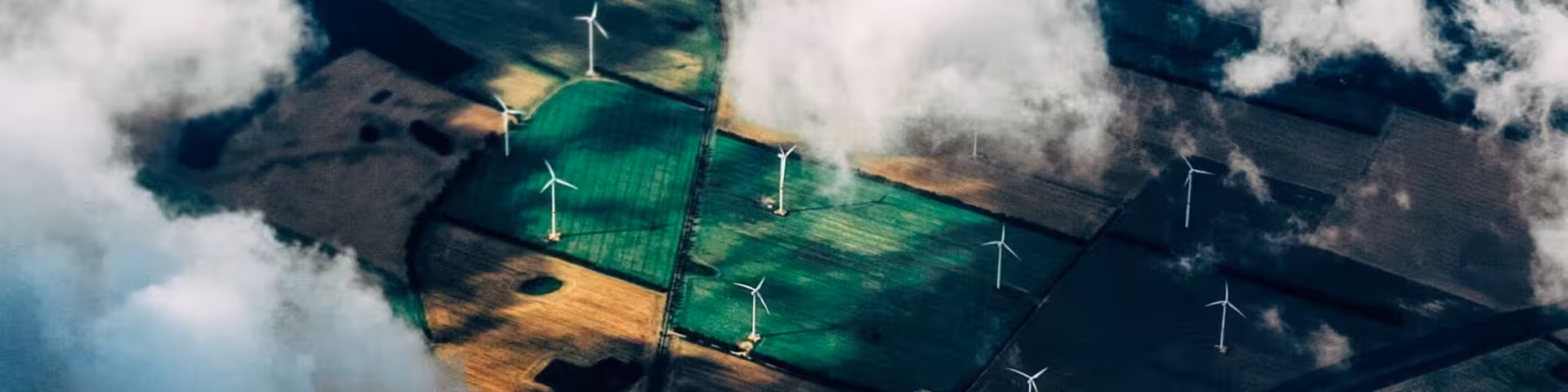 Des services spécialisés dans le monde entier