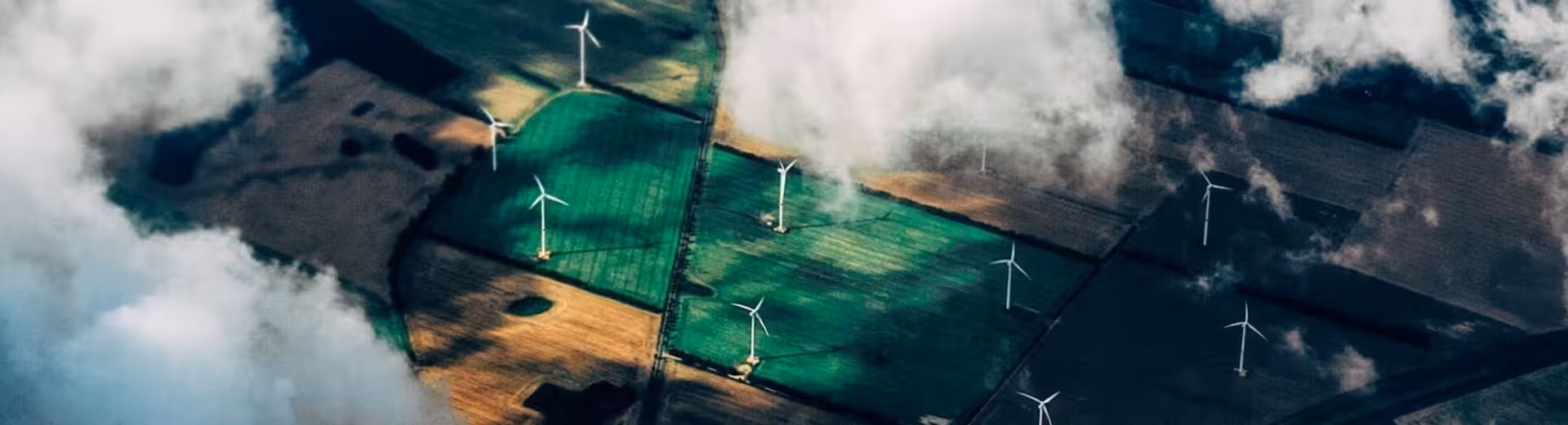 Des services spécialisés dans le monde entier