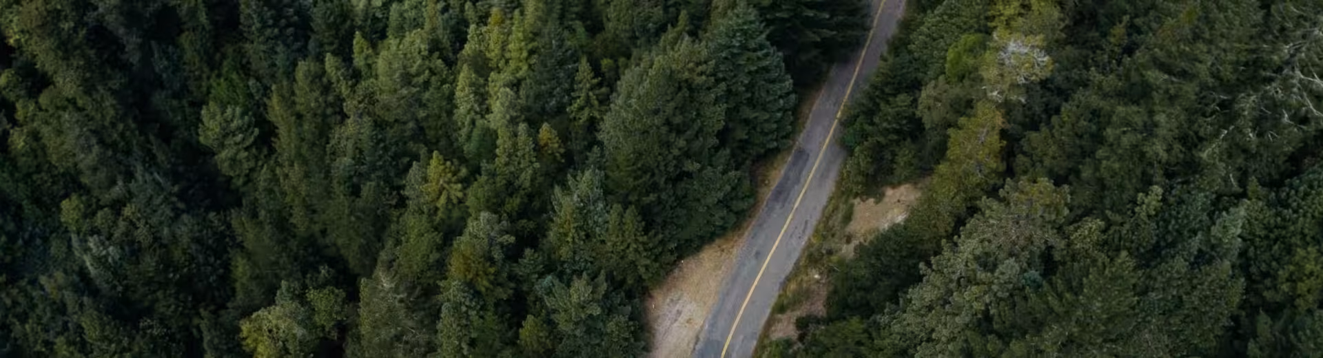 Opérations locales, présence mondiale